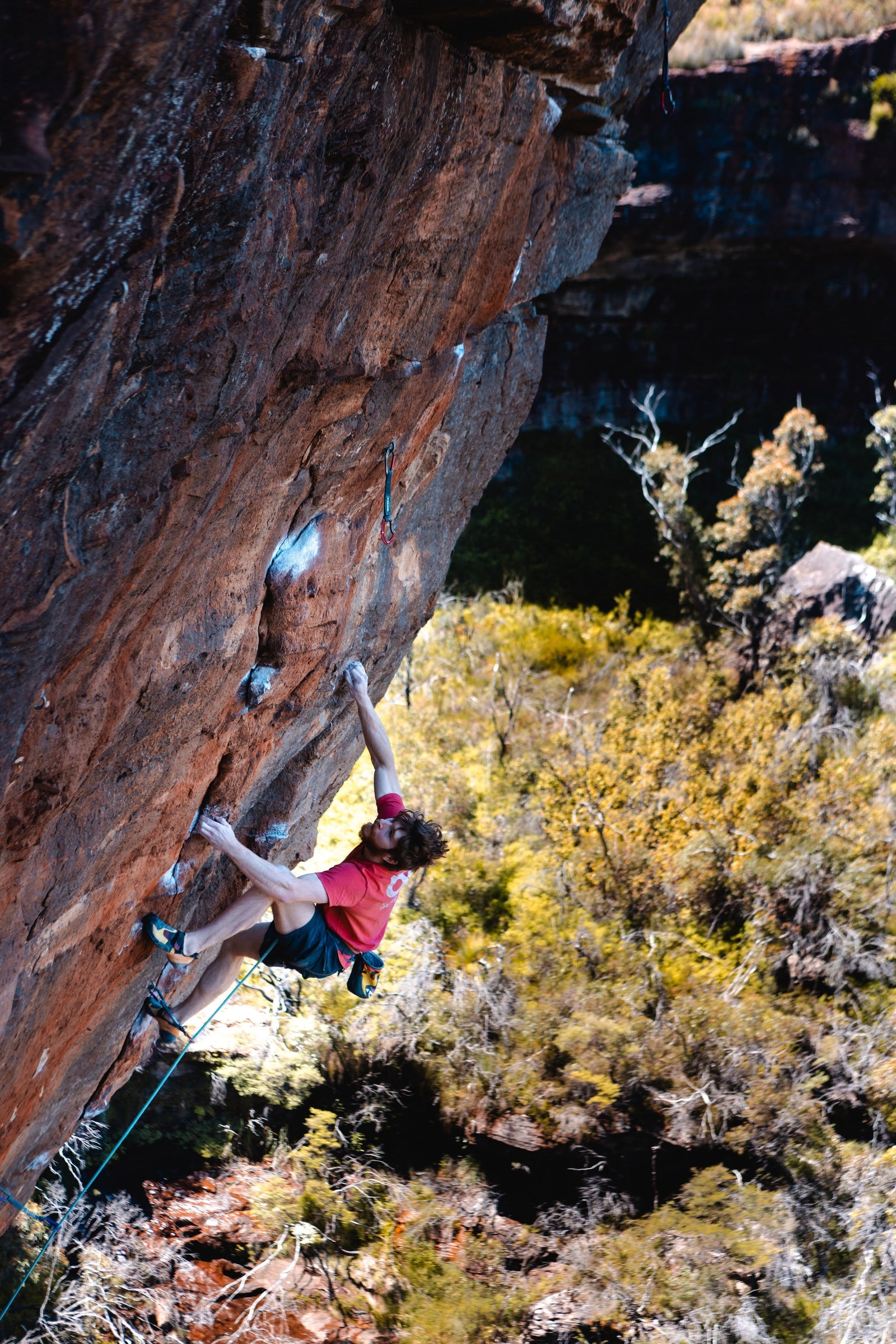 Meet the Team - Anthony