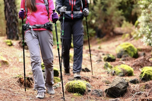 Trekking Poles Summit Gear