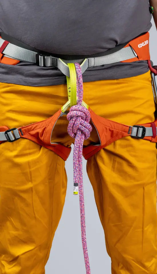 Edelrid Jay IV Climbing Harness Hokkaido