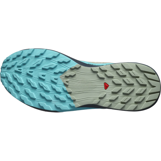 Salomon SENSE RIDE 5 Alfalfa/Carbon/Peablu