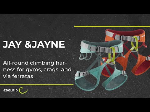 Edelrid Jay IV Climbing Harness Hokkaido