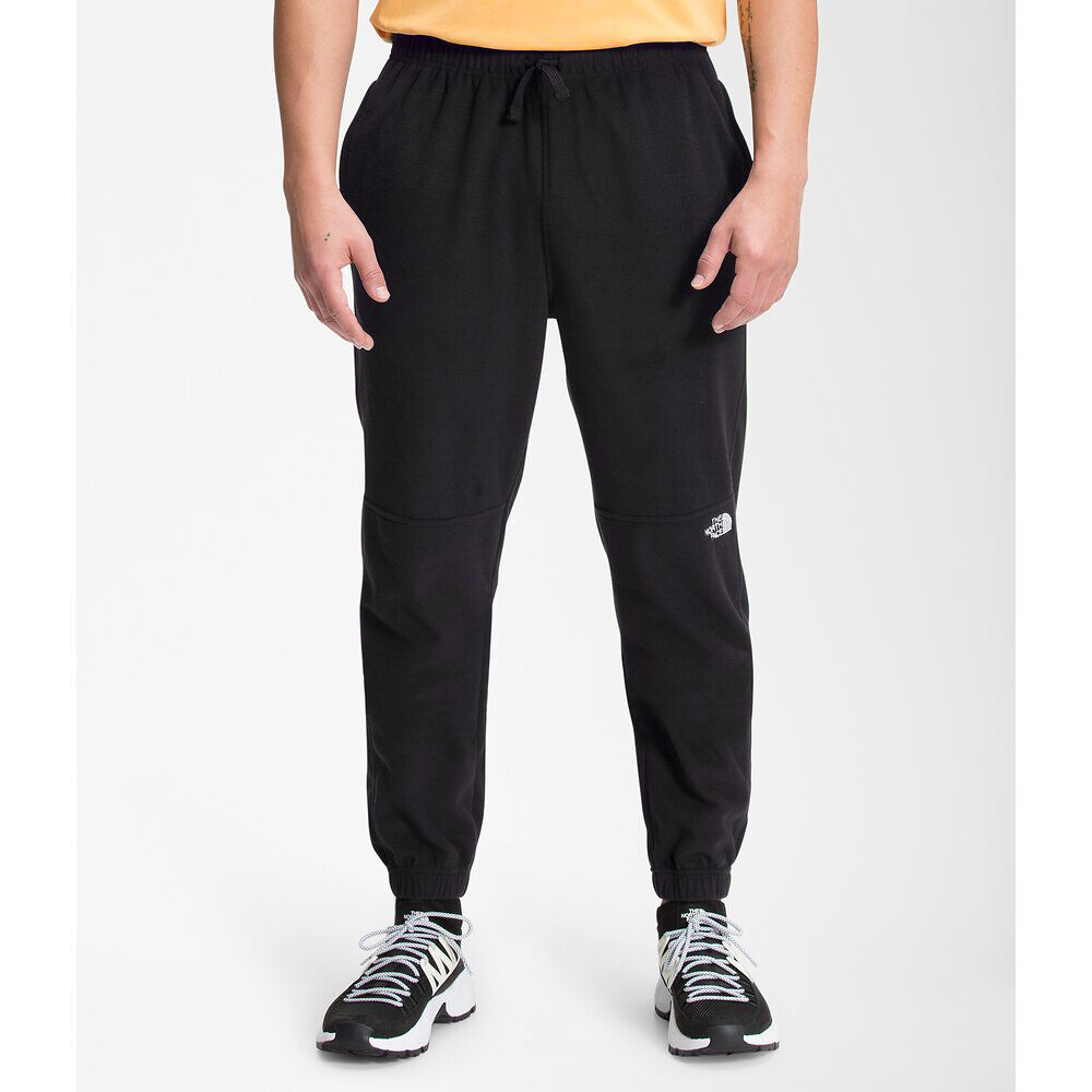 The north face men's fleece outlet pants