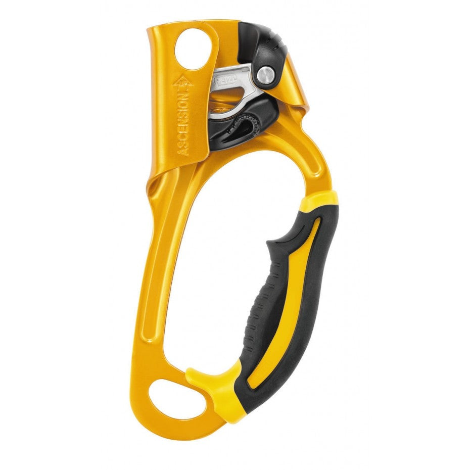 Petzl Ascension B17