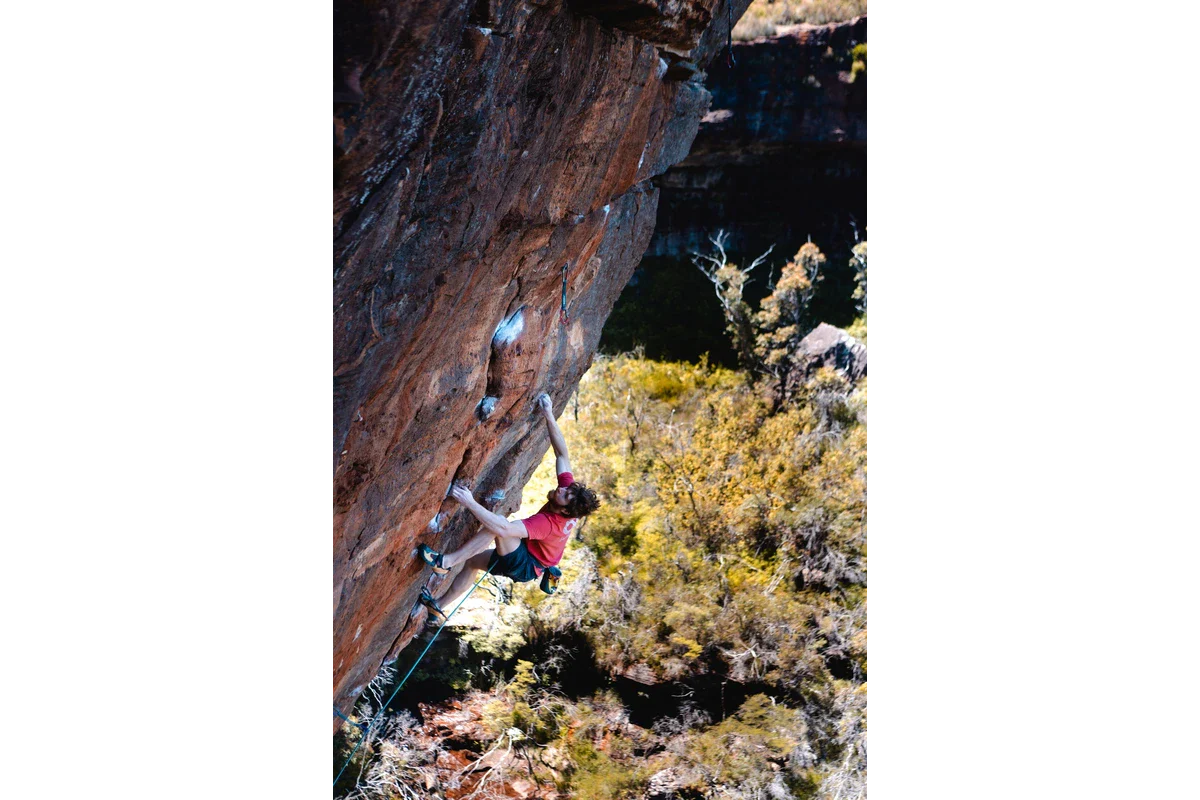 Meet the Team - Anthony