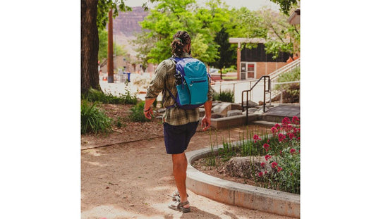 Osprey Daylite Plus Daypack Blue Spikemoss/Alkaline