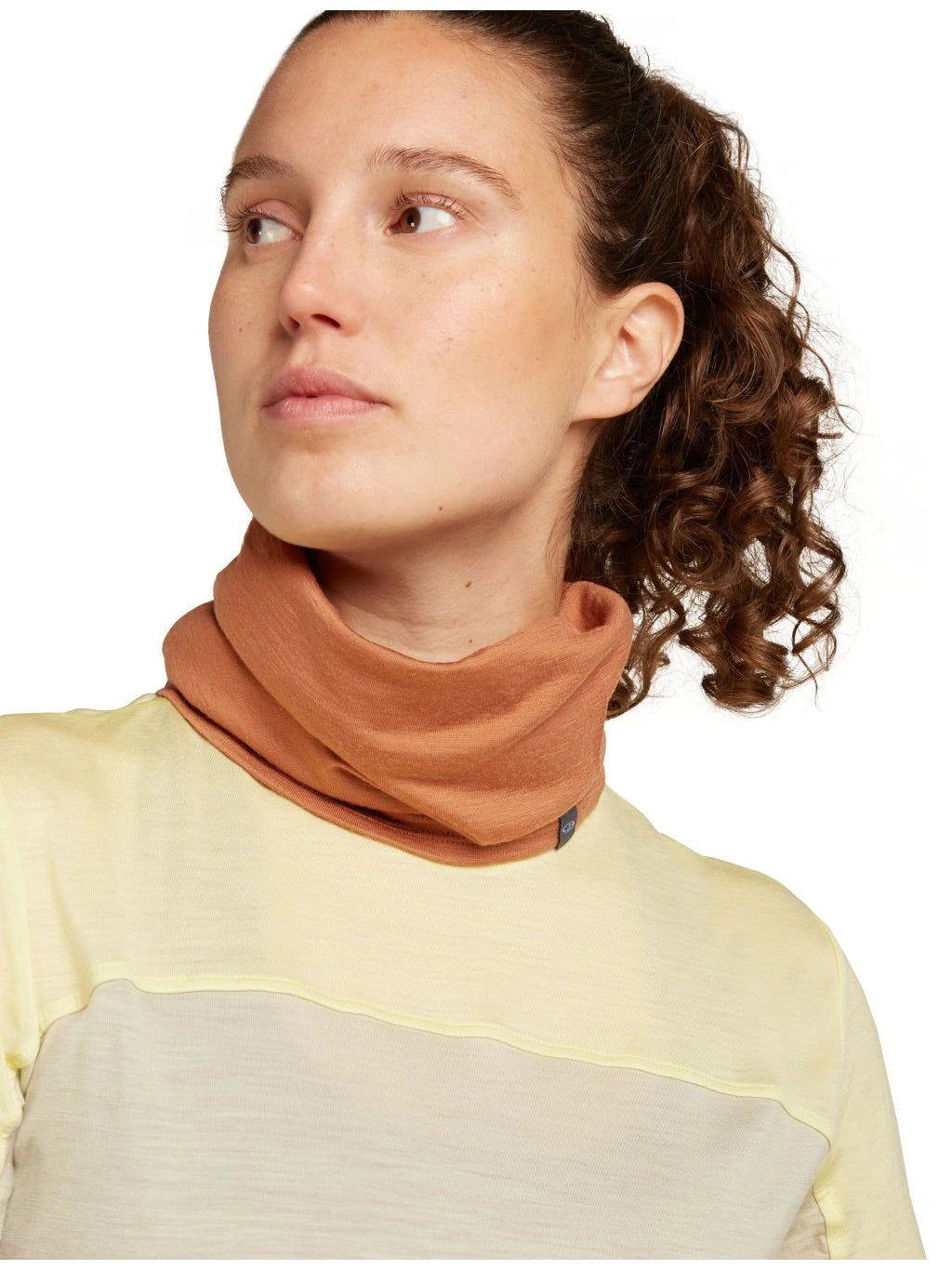 Icebreaker Merino 200 Oasis Flexi Chute