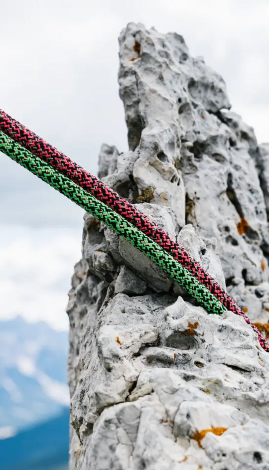 Edelrid Swift Protect Pro Dry 8.9mm Dynamic Climbing Rope
