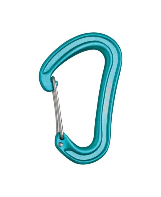 Edelrid Nineteen G Climbing Carabiner