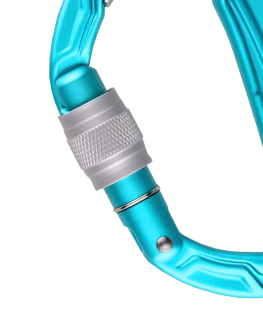 Edelrid Bulletproof Screw Climbing Carabiner Icemint