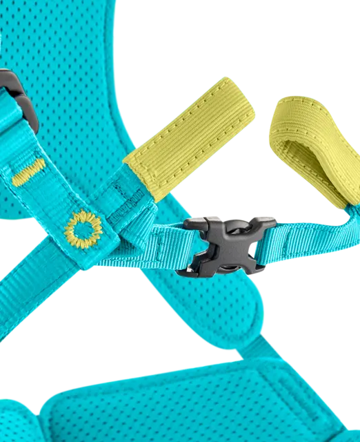 Edelrid Fraggle III Kids Climbing Harness Icemint