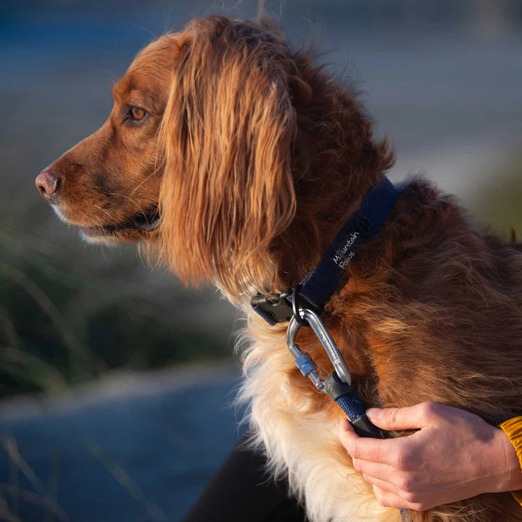 Mountain Paws Rope Dog Lead, Navy