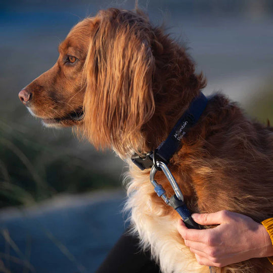 Mountain Paws Rope Dog Lead, Navy