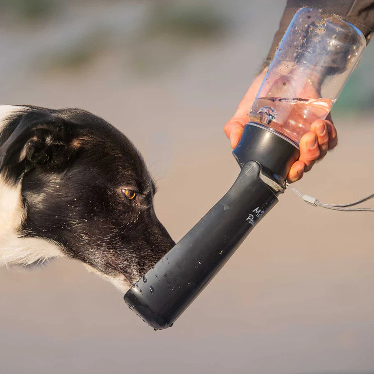 Mountain Paws Folding Dog Water Bottle