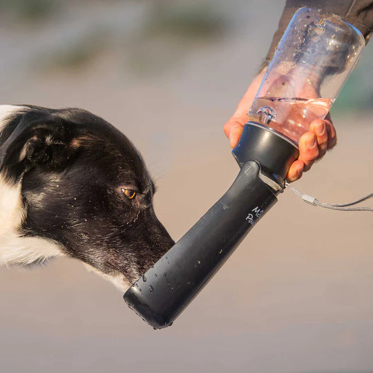 Mountain Paws Folding Dog Water Bottle