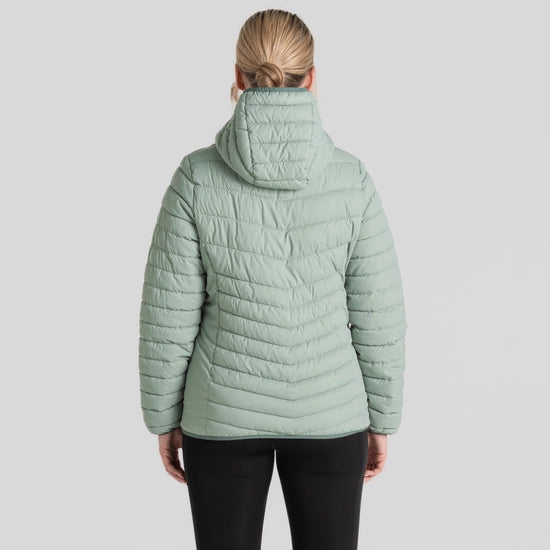 Craghoppers Compresslite VIII Hooded Jacket MdowH/FrPine