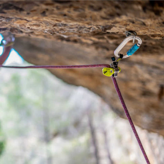 Edelrid Ohmega Belay Assistant Oasis