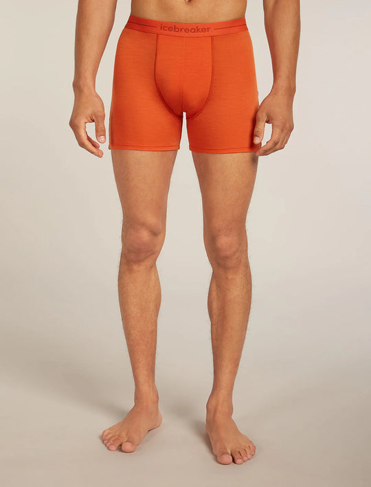 Icebreaker M Merino 150 Anatomica Boxers Fervid