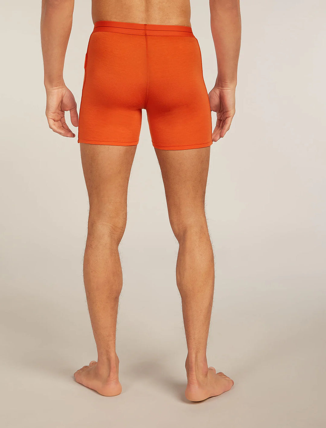 Icebreaker M Merino 150 Anatomica Boxers Fervid