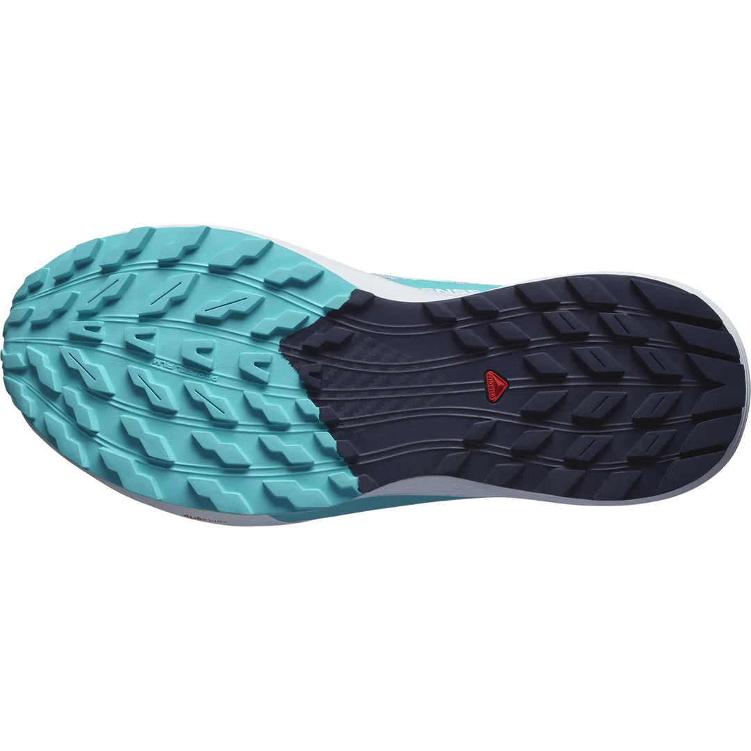 Salomon SENSE RIDE 5 W Cashbl/Carbon/Peabl