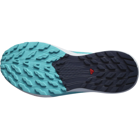 Salomon SENSE RIDE 5 W Cashbl/Carbon/Peabl