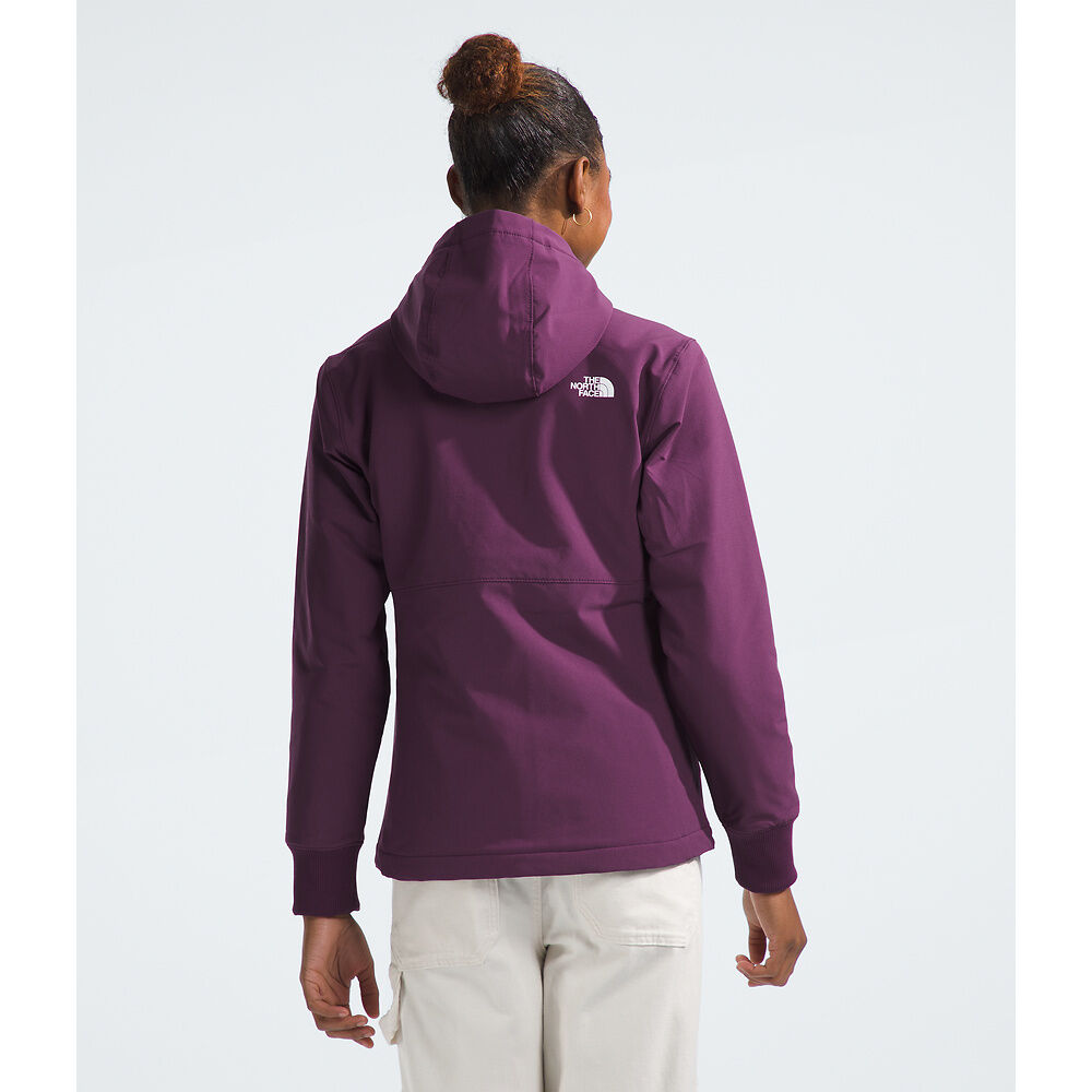 The North Face W Shelbe Raschel Hoodie Black Currant Purple