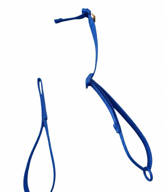 Whippa Ski Cross Carry Attachment
