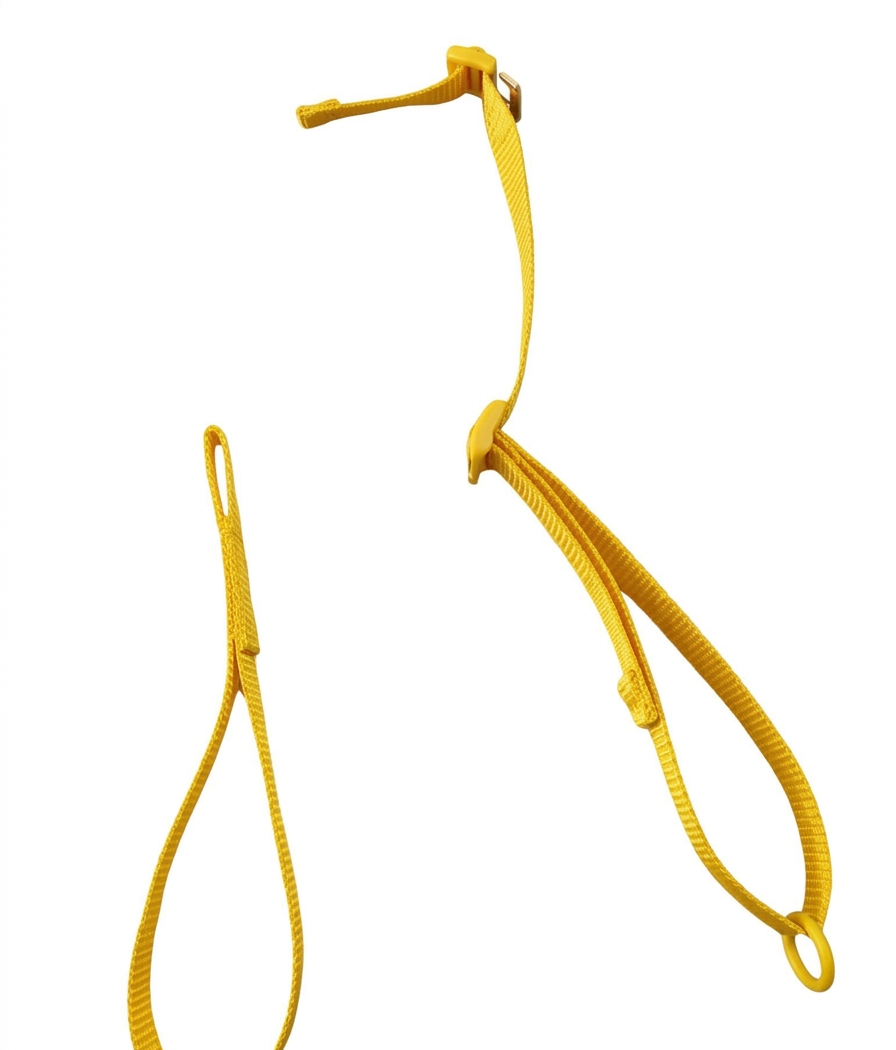 Whippa Ski Cross Carry Attachment