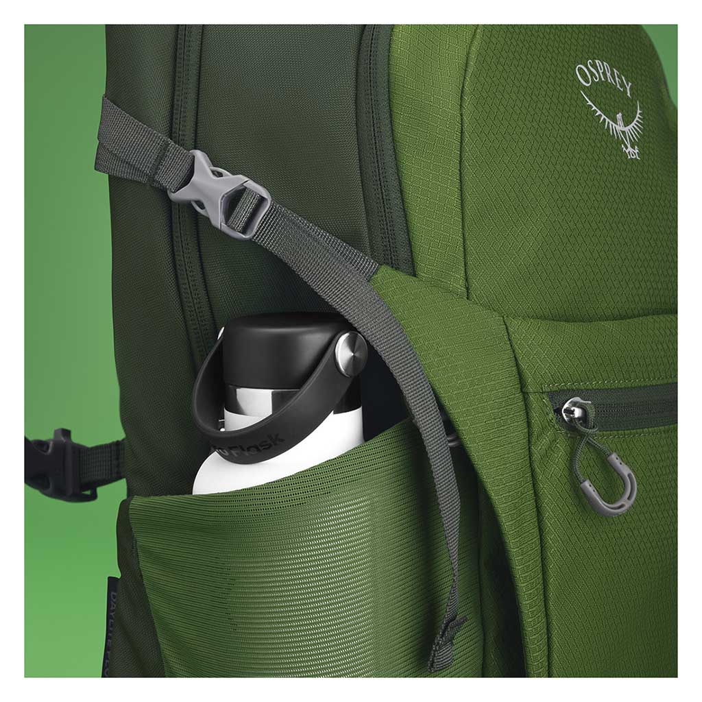 Osprey Daylite Plus Daypack Green Belt/Green Canopy