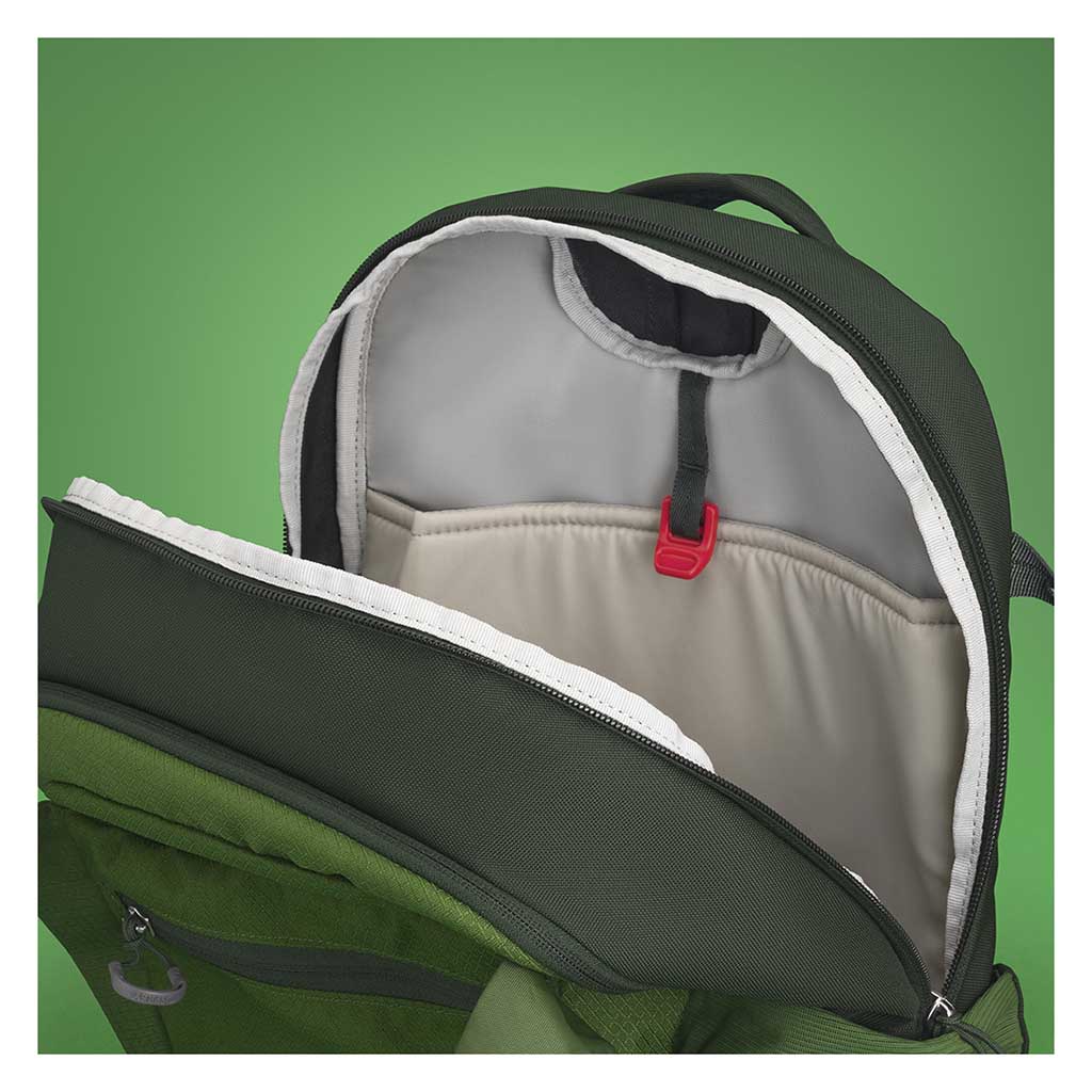 Osprey Daylite Plus Daypack Green Belt/Green Canopy