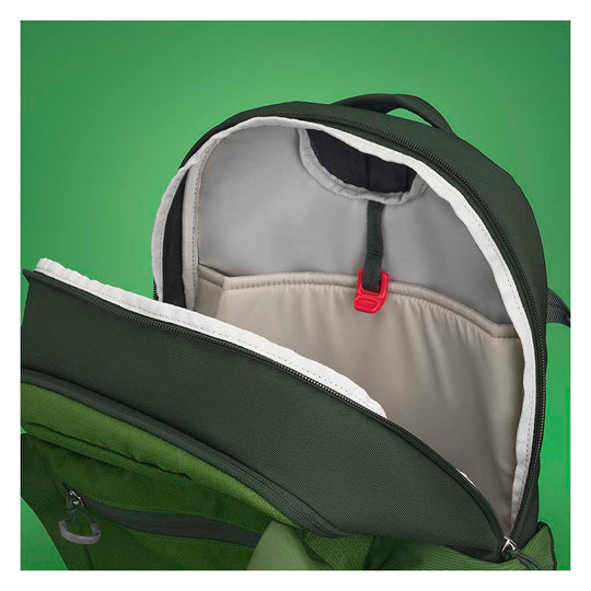 Osprey Daylite Plus Daypack Green Belt/Green Canopy
