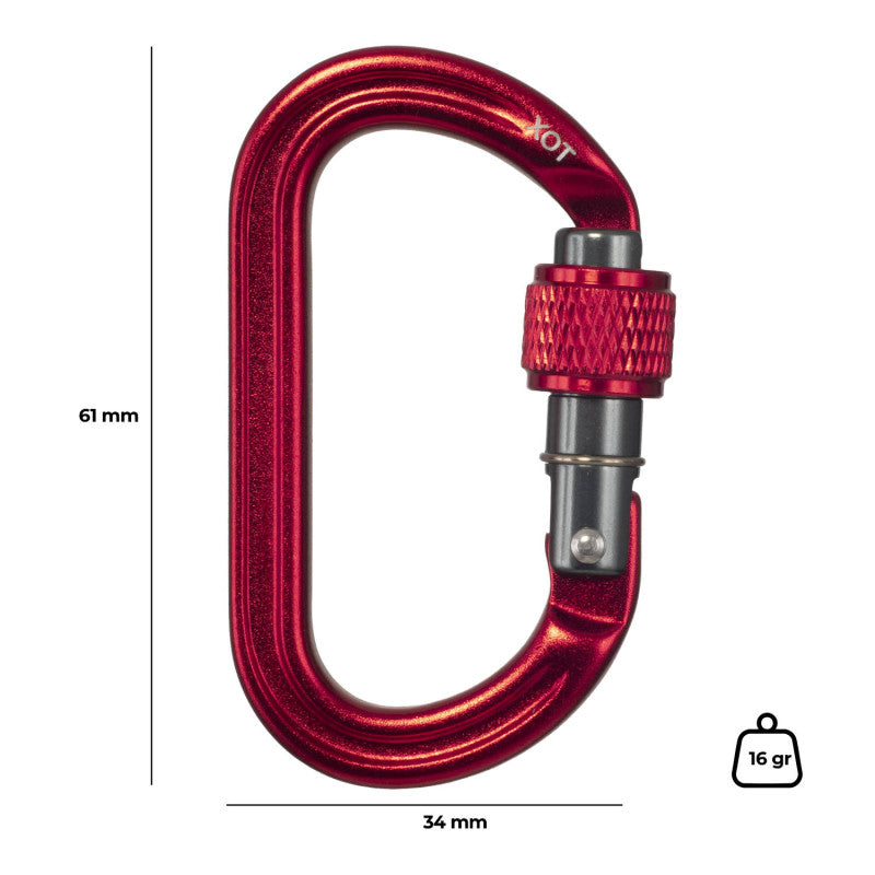 Fixe carabiner Auxiliary Screw Gate