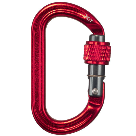 Fixe carabiner Auxiliary Screw Gate