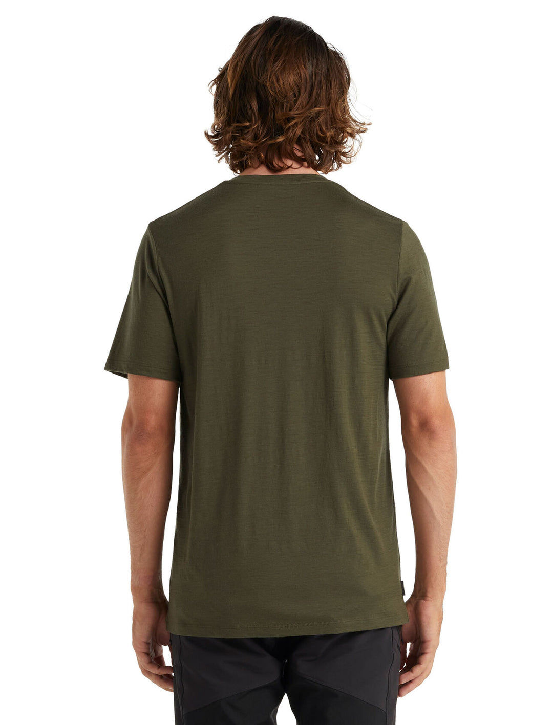Icebreaker Tech Lite II SS Tee Loden