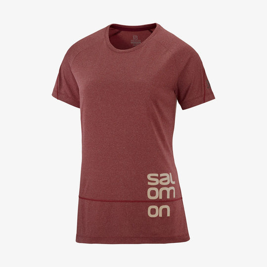 Salomon Cross Run Graphic Tee W Cabernet/Heather