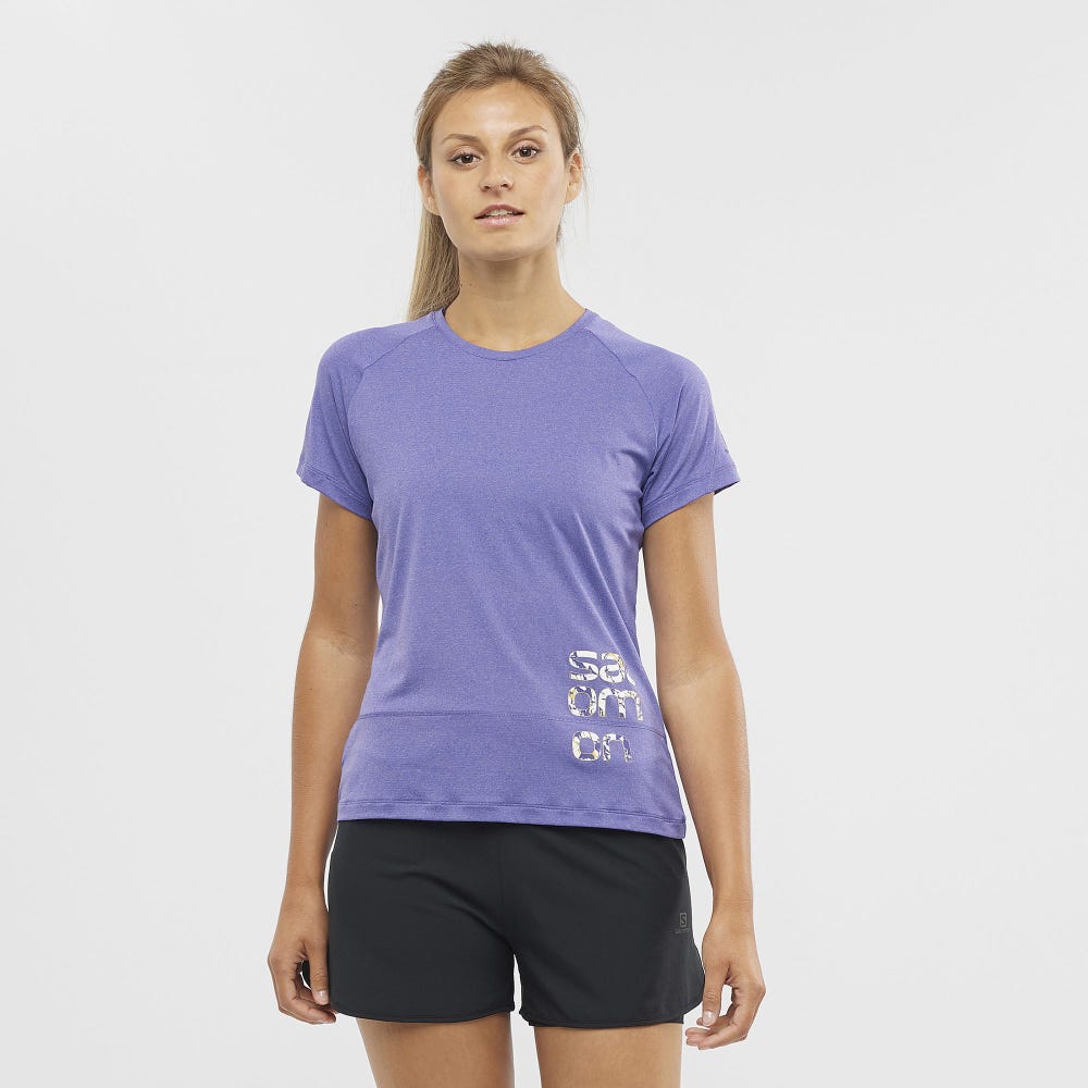 Salomon Cross Run Graphic Tee W Deep Blue/Heather