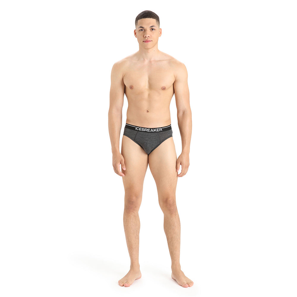 ICEBREAKER Mens Anatomica Briefs Jet HTHR/Black Additional Image-2
