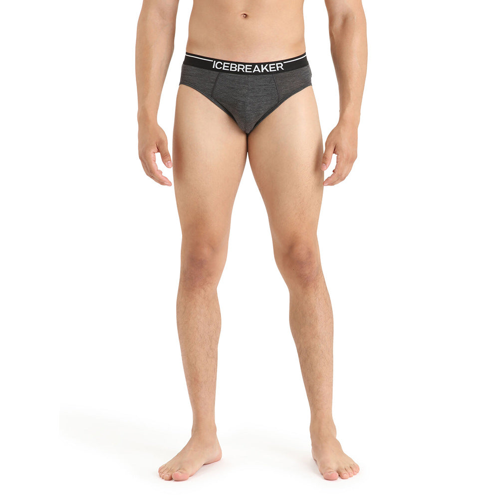ICEBREAKER Mens Anatomica Briefs Jet HTHR/Black Additional Image