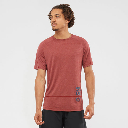 Salomon Cross Run Graphic Tee M Cabernet/Dark Denim/Heather Additional Image-1