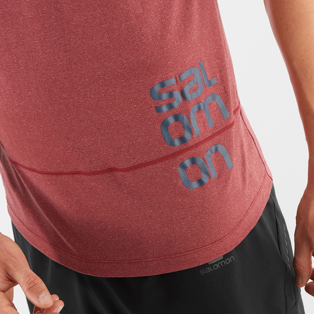Salomon Cross Run Graphic Tee M Cabernet/Dark Denim/Heather Additional Image-2