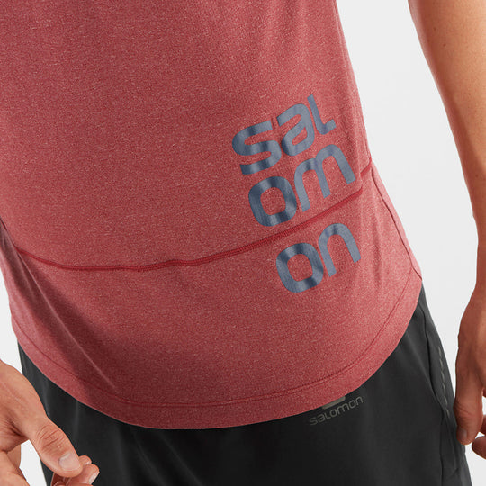 Salomon Cross Run Graphic Tee M Cabernet/Dark Denim/Heather Additional Image-2
