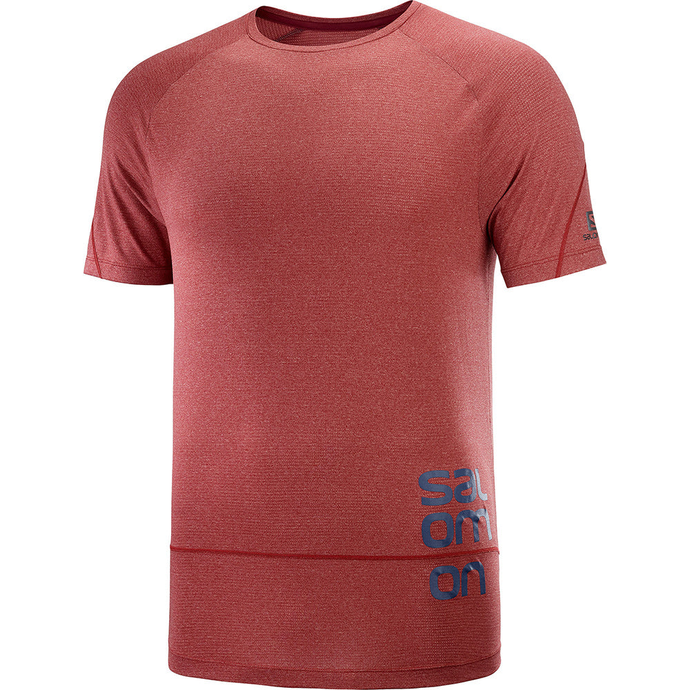 Salomon Cross Run Graphic Tee M Cabernet/Dark Denim/Heather Additional Image