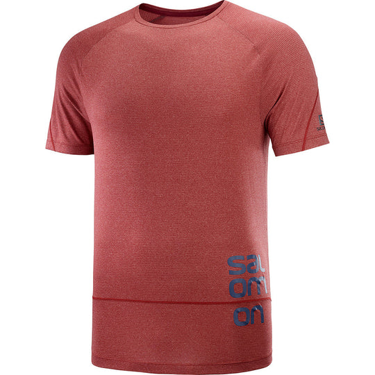 Salomon Cross Run Graphic Tee M Cabernet/Dark Denim/Heather Additional Image